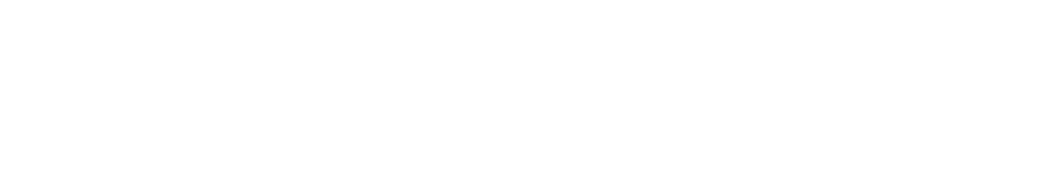 GlobeVPN